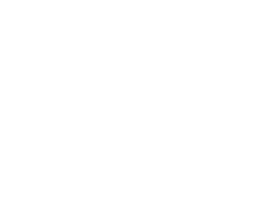 tipo stampa